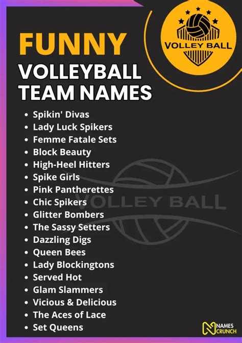 funny coed volleyball team names|unique volleyball team names.